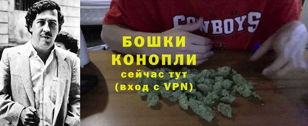 прущие грибы Майский