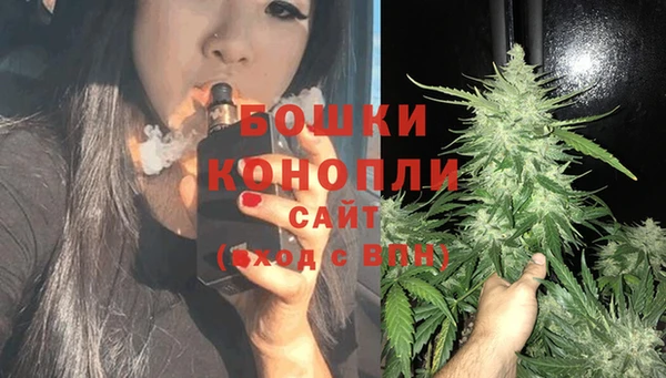 прущие грибы Майский