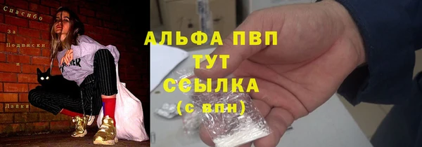 прущие грибы Майский