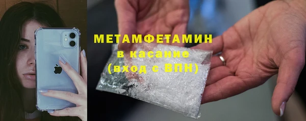 прущие грибы Майский