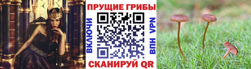 Псилоцибиновые грибы ЛСД  наркотики  Ядрин 